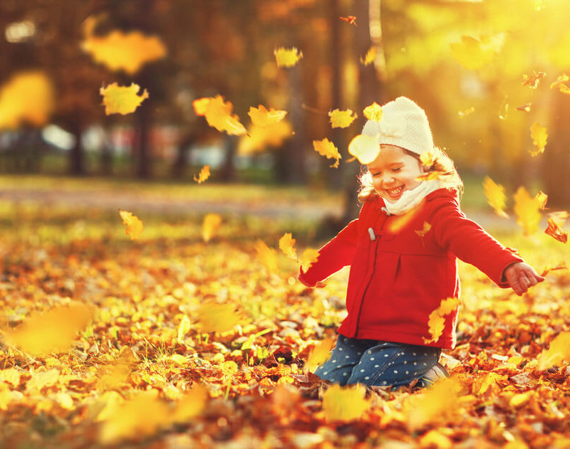 Fall Activities for Kids in Sleepy Hollow, NY and Nearby