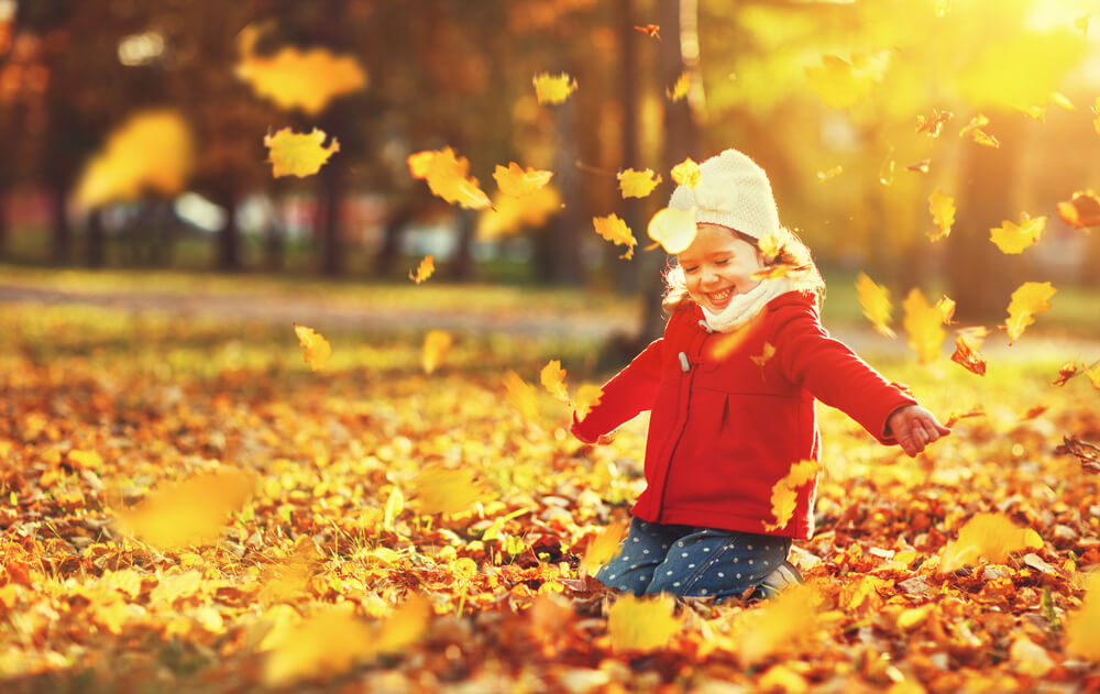 Fall Activities for Kids in Sleepy Hollow, NY and Nearby